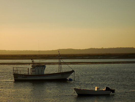 포토 JPG 해외이미지 실루엣 스포츠 바다 여행 백그라운드 요트 오렌지 가족 교통시설 자연 낚시 휴가 휴식 등대 항해 풍경 사람없음 야외 세로 빛 태양 뷰티 쌓기 마을 일출 맑음 고요 일몰 꿈 보트 황금 제비꽃 포트 네비게이션 요금 수평선 해외202309 해외포토 자연요소 꽃 교통 컨셉 배_교통 과일 관계 모션 레저 날씨 촬영기법 노을 시설 생태계 파일형식