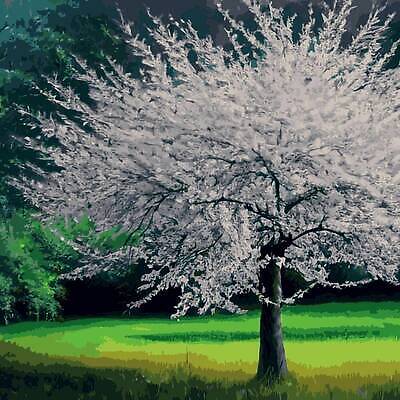 EPS 해외이미지 나무 식물 전통 디자인 계절 꽃잎 꽃 분홍색 꽃다발 결혼 백그라운드 꽃무늬 곡선 과일 일러스트 자연 추상 발렌타인데이 동양인 목재 뷰티 갈색 정원 일본 중국 화목 봄 벚꽃 흰색 나뭇가지 인사 신용카드 개화 체리 원예 창백 고립 삼림지대 벡터 해외202309 해외일러스트 아시아 선 컬러 컨셉 무늬 재료 데이이벤트 인종 이벤트 취미 금융 예절 숲 생태계 파일형식