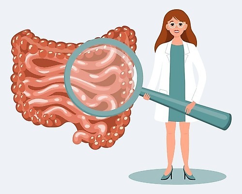 EPS 해외이미지 여자 일러스트 돋보기 건강 한명 들기 성인 의사 창자 대장 소장 성인여자한명만 해외202309 해외일러스트 1 모션 사람 의료진 소화기관 장기_의학 여자한명만 성인여자만 파일형식 벡터