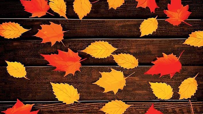 EPS 해외이미지 식물 템플릿 디자인 계절 컬러 백그라운드 단풍 잎 꽃무늬 패턴 오렌지 일러스트 자연 추상 아이디어 프레임 야외 장식 빨간색 빛 컬러풀 갈색 노란색 유행 할로윈 인사 황금 숲 원예 질감 윤곽 창백 재 벡터 반복 해외202309 해외일러스트 꽃 컨셉 무늬 과일 취미 예절 생태계 파일형식