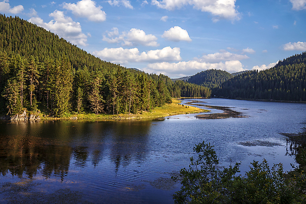 포토 JPG 해외이미지 나무 공원 호수 여행 밭 하늘 휴가 산 사람없음 야외 초록색 파란색 뷰티 반사 환경 계곡 맑음 고요 놀람 하이킹 황무지 숲 댐 언덕 장면 내추럴 해외202309 해외포토 식물 공공시설 감정 컬러 농업 레저 날씨 표정 파일형식