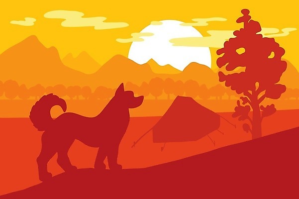 EPS 해외이미지 나무 동물 공원 실루엣 포스터 야생동물 여행 백그라운드 일러스트 자연 아침 휴가 산 파노라마 텐트 경비 야외 목재 반려동물 여행객 일출 산책 캠핑 탐험 수확 재산 개 강아지 숲 모닥불 복고 사냥꾼 삼림지대 원정 유래 벡터 해외202309 해외일러스트 주간 식물 직업 공공시설 농업 재료 포유류 불 레저 휴식 촬영기법 캠핑도구 안전 사람 금융 노을 보호 생태계 파일형식