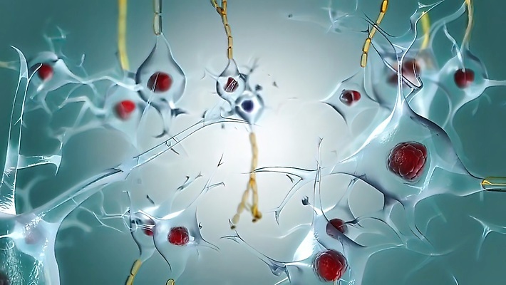 포토 JPG 해외이미지 과학 생각 신체 통신 해부 세포 실내 현미경 사람 사람없음 빛 흐름 에너지 네트워크 감각 고리 확대 맥박 불안 뇌 생물학 신호 시스템 모터 바이오 핵심 해외202309 해외포토 교육 감정 컨셉 의학 실험기구 내부 파일형식