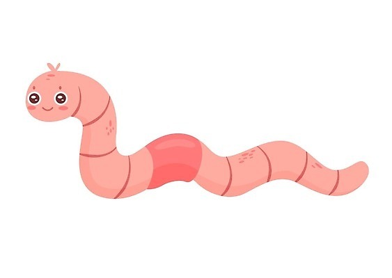 EPS 해외이미지 동물 캐릭터 손 행복 감정 지구 얼굴 야생동물 곤충 일러스트 자연 생물 무척추동물 농장 귀여움 정원 흙 수확 뱀 벌레 큼 유혹 원예 생물학 코믹 광택 애벌레 기어가기 나쁜 동물상 마스코트 끈적임 해외202309 해외일러스트 일러캐릭터 교육 컨셉 농업 파충류 모션 취미 신체부위 조형물 크기 생태계 파일형식 벡터