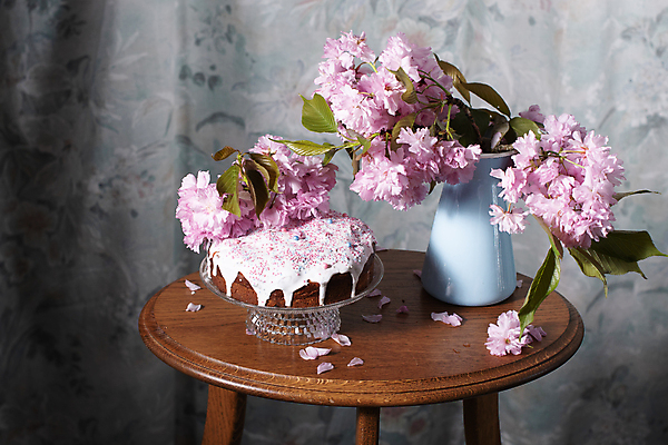 포토 JPG 해외이미지 꽃잎 잎 봄꽃 탁자 부활절 사람없음 장식 케이크 꽃병 원예 케이크스탠드 해외202309 해외포토 식물 기념일 꽃 가구 디저트 취미 봄 받침대 파일형식