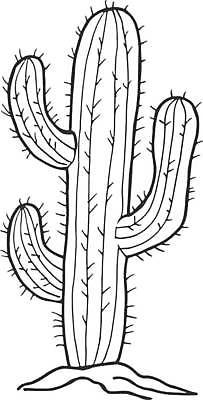 EPS 해외이미지 모양 식물 손 디자인 꽃 백그라운드 꽃무늬 일러스트 자연 멕시코 선인장 미술 여름 뷰티 정원 검은색 사막 수확 흰색 가시 스케치 묘사 오브젝트 그림 날카로움 윤곽 스파이크 내추럴 고립 다육식물 엘리먼트 이국적 벡터 해외202309 해외일러스트 계절 컬러 북아메리카 무늬 농업 문화예술 신체부위 생태계 파일형식