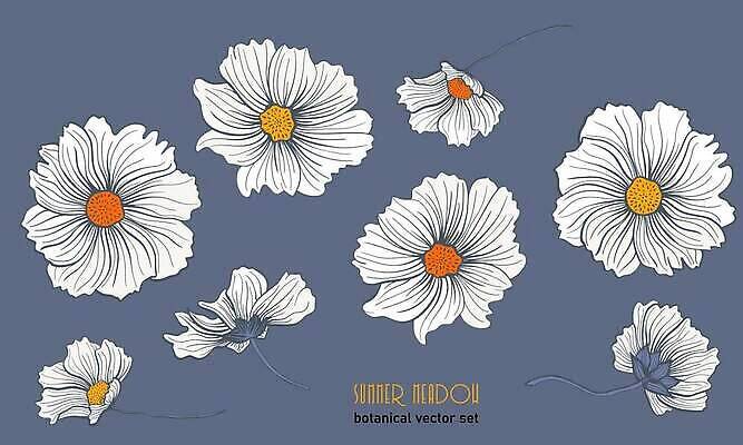 EPS 해외이미지 식물 디자인 계절 꽃잎 꽃 꽃다발 잎 꽃무늬 밭 일러스트 자연 벽지 추상 미술 장식 여름 컬러풀 봄 벚꽃 흰색 나뭇가지 직물 개화 포장지 오브젝트 그림 데이지 양귀비 고립 엘리먼트 핸드메이드 벡터 현실 해외202309 해외일러스트 나무 컬러 무늬 농업 포장 문화예술 생태계 파일형식