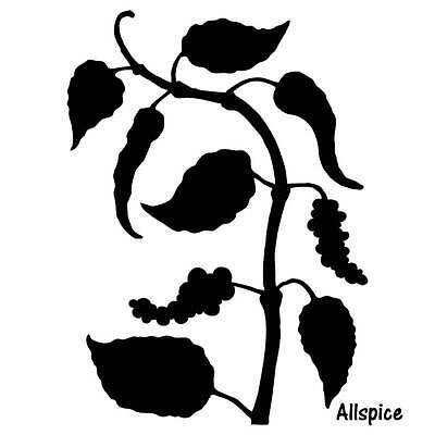 EPS 해외이미지 식물 손 디자인 선 음식 잎 농업 일러스트 재료 자연 요리 미술 씨앗 그래픽 세트 약 정원 검은색 수확 흰색 나뭇가지 양념 조미료 스케치 허브 향신료 그림 유기농 원예 매움 후추 판화 내추럴 고립 식용 옛날 스타일 벡터 해외202309 해외일러스트 나무 웰빙 산업 컬러 의학 문화예술 취미 신체부위 맛 생태계 향미료 파일형식