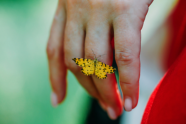 포토 JPG 해외이미지 전통 여자 남자 종교 문화 나비 백그라운드 자연 불 두명 목재 뷰티 어둠 의식 역사 동굴 야간 심볼 사인 신성 마법 원시시대 숭배 해외202309 해외포토 자연요소 나무 곤충 재료 사람 생태계 파일형식