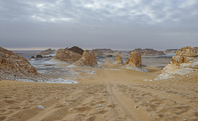 포토 JPG 해외이미지 공원 모래 여행 자연 하늘 산 건조 이집트 풍경 사람없음 야외 모래사장 환경 사막 황무지 모래언덕 지역 멀리 흐림 내추럴 고립 절정 지질학 평야 수평선 비어있는 해외202309 해외포토 공공시설 교육 바다 아프리카 날씨 언덕 생태계 파일형식