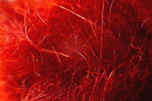 포토 JPG 해외이미지 산업 선 백그라운드 벽지 표면 추상 따뜻함 사람없음 빨간색 컬러풀 재활용 직물 면 거친 실 닫기 천 스웨터 묘사 질감 부드러움 섬유 내추럴 양모 그런지 줄서기 짜기 아크릴 해외202309 해외포토 컬러 상의 무늬 모션 재질 감각 친환경 파일형식