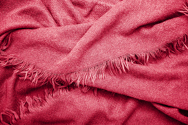 포토 JPG 해외이미지 식물 라이프스타일 디자인 옷 백그라운드 잎 휴식 선인장 사람없음 장식 컬러풀 뷰티 유행 환경 정원 목도리 수확 성장 직물 신선 면 화려 우아함 닫기 떨어짐 이슬 자주색 허브 질감 내추럴 부티크 스타일 해외202309 해외포토 잡화 컬러 컨셉 농업 모션 생활 파일형식