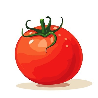 EPS 해외이미지 클립아트 식물 디자인 음식 컬러 컨셉 잎 농업 다이어트 토마토 채소 과일 일러스트 재료 자연 건강 미술 그래픽 빨간색 초록색 라벨 정원 샐러드 수확 흰색 신선 플랫 만화 심볼 사인 싱글 그림 유기농 심플 내추럴 고립 숙성 엘리먼트 채식주의자 벡터 비건 해외202309 해외일러스트 웰빙 산업 문화예술 프레임 생태계 채식 파일형식