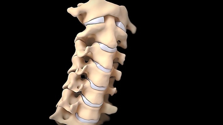 포토 JPG 해외이미지 해부 뼈 골격 사람없음 약 3D 손상 고통 기둥 질병 척추 외과 압력 정형외과 증상 해외202309 해외포토 건축 감정 컨셉 의학 병원 디지털합성 파일형식