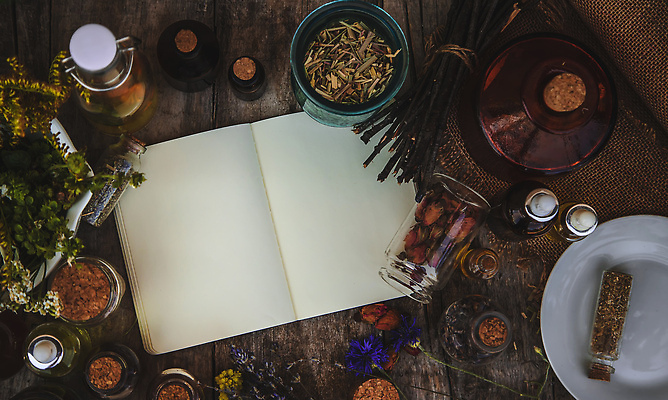 포토 JPG 해외이미지 꽃 유리병 사람없음 공책 나뭇가지 드라이플라워 말린재료 카피스페이스 해외202309 해외포토 나무 식물 병_용기 문구용품 공백 파일형식