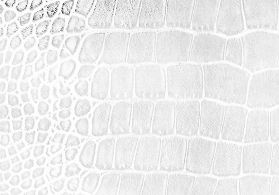 포토 JPG 해외이미지 동물 디자인 야생동물 백그라운드 패턴 파충류 자연 벽지 표면 추상 미술 사람없음 장식 유행 검은색 흰색 직물 독약 거친 뱀 닫기 인쇄 가죽 피부 묘사 질감 눈금 육식동물 악어 숨김 내추럴 옛날 이국적 인공 해외202309 해외포토 컬러 컨셉 무늬 모션 문화예술 신체부위 생태계 파일형식