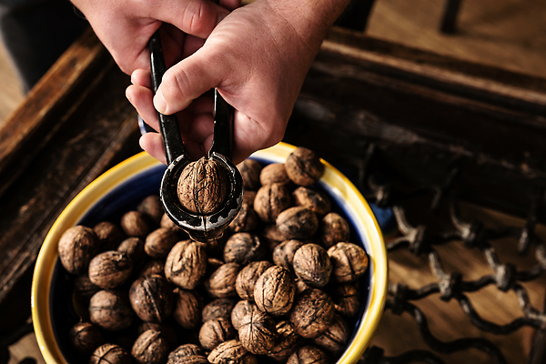 포토 JPG 해외이미지 손 계절 음식 다이어트 과일 재료 탁자 건조 건강 사람 사람없음 식사 힘 견과류 시골 신선 잡기 사발 맛 먹기 유기농 알맹이 날것 호두 노력 건강식 내추럴 단백질 채식주의자 비건 맛있는 해외202309 해외포토 웰빙 가구 컨셉 모션 신체부위 사기그릇 채식 영양소 파일형식