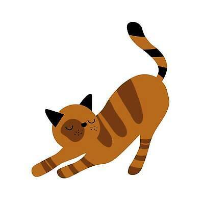 EPS 해외이미지 클립아트 동물 캐릭터 디자인 행복 어린이 백그라운드 일러스트 포유류 자연 털 미술 앉기 반려동물 장난감 갈색 걷기 검은색 고양이 흰색 만화 그림 꼬리 클립 솜털 생강 빨간머리 고립 벡터 해외202309 해외일러스트 일러캐릭터 헤어스타일 감정 컬러 채소 모션 문화예술 사람 생태계 파일형식