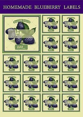 EPS 해외이미지 일러스트 사람없음 초록색 세트 라벨 사각형 빈티지 블랙베리 핸드메이드 해외202309 해외일러스트 도형 컬러 컨셉 과일 프레임 파일형식 벡터