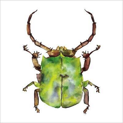 EPS 해외이미지 종이 야생동물 컬러 곤충 백그라운드 날개 일러스트 자연 수채화 새로움 미술 사람없음 그래픽 장식 초록색 물 세트 컬러풀 활발 젖음 흰색 4 그룹 스케치 수집 딱정벌레 심볼 그림 질감 내추럴 고립 멀티 엘리먼트 인기 혼란 벡터 효과 해외202309 해외일러스트 자연요소 동물 컨셉 문화예술 숫자 생태계 파일형식