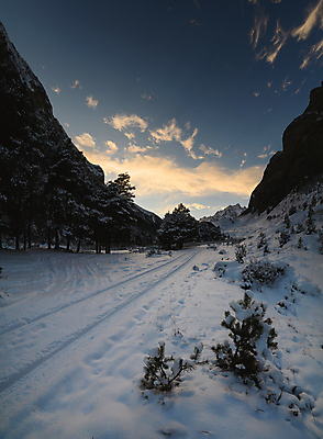 포토 JPG 해외이미지 나무 계절 공원 유럽 여행 백그라운드 크리스마스 겨울 자연 하늘 아침 휴가 산 사람없음 야외 목재 파란색 태양 뷰티 일출 냉동 얼음 일몰 새벽 추위 흰색 시골 소나무 황무지 숲 12월 서리 전나무 눈내림 해외202309 해외포토 주간 자연요소 식물 공공시설 기념일 나라 컬러 재료 눈_날씨 노을 날짜 생태계 파일형식