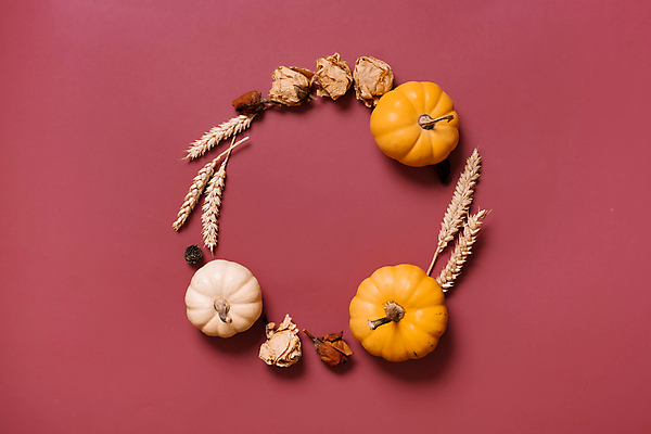 포토 JPG 해외이미지 식물 음식 분홍색 컬러 백그라운드 잎 채소 오렌지 재료 자연 호박 추상 휴가 건조 흑백 사람없음 야외 장식 노란색 화환 할로윈 수확 가을 신선 작음 9월 11월 밀 스웨터 날것 추수감사절 10월 내추럴 숙성 플랫레이 카피스페이스 비건 미니멀 해외202309 해외포토 계절 꽃 기독교 상의 무늬 농업 과일 곡류 촬영기법 공백 날짜 플랫 크기 생태계 채식주의자 파일형식