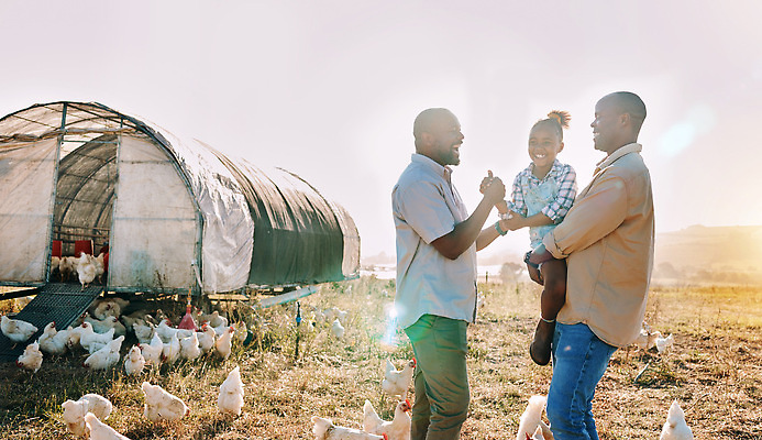 포토 JPG 해외이미지 주간 전신 라이프스타일 여자 남자 어린이 여러마리 들기 상반신 성인 야외 앞모습 옆모습 세명 농장 마주보기 손잡기 닭 축산업 농부 비닐하우스 전원생활 양계장 해외202309 해외포토 자연요소 직업 산업 뷰포인트 다수 농업 모션 조류 사람 생활 파일형식