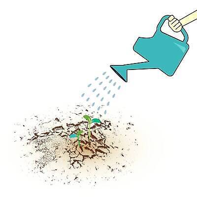 EPS 해외이미지 나무 식물 손 지구 컨셉 잎 농업 일러스트 자연 새로움 건조 씨앗 초록색 물 글로벌 새싹 환경 희망 흙 봄 물뿌리개 성장 흰색 균열 작음 땅 물주기 원예 가뭄 땅바닥 모종 묘목 생태학 벡터 해외202309 해외일러스트 자연요소 계절 교육 감정 산업 컬러 모션 날씨 바닥 취미 신체부위 크기 생태계 파일형식