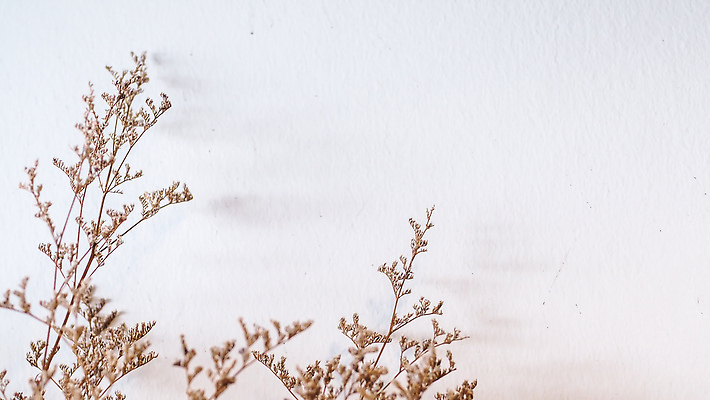 포토 JPG 해외이미지 식물 디자인 계절 꽃 줄기 컬러 꽃다발 백그라운드 컨셉 잎 꽃무늬 밭 자연 탁자 주택 건조 미술 사람없음 내부 장식 초록색 뷰티 갈색 노란색 정원 꽃병 수확 벚꽃 흰색 시골 냄비 낟알 밀 다발 유기농 질감 내추럴 옛날 스타일 해외202309 해외포토 웰빙 가구 무늬 농업 문화예술 곡류 건물 솥 생태계 파일형식