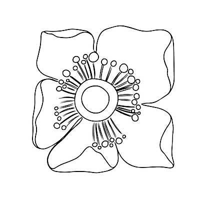 EPS 해외이미지 식물 디자인 꽃잎 꽃 실루엣 선 백그라운드 꽃무늬 일러스트 자연 추상 흑백 미술 그래픽 장식 여름 세트 뷰티 유행 검은색 봄 낭만 벚꽃 흰색 나뭇가지 화려 우아함 스케치 수집 심볼 그림 심플 윤곽 내추럴 고립 엘리먼트 스타일 반복 해외202309 해외일러스트 나무 계절 컬러 컨셉 무늬 문화예술 촬영기법 생태계 파일형식 벡터