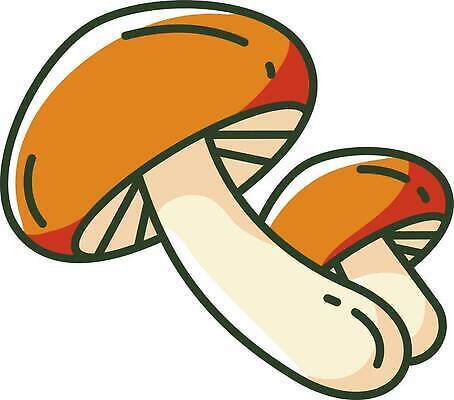 EPS 해외이미지 클립아트 디자인 선 음식 컬러 컨셉 다이어트 채소 일러스트 재료 자연 건강 요리 동양인 픽토그램 웹 중국 버섯 신선 플랫 맛 만화 먹기 가득함 심볼 유기농 날것 심플 윤곽 고립 식용 얇은 엘리먼트 채식주의자 활자 벡터 비건 맛있는 해외202309 해외일러스트 웰빙 아시아 인터넷 모션 인종 생태계 채식 활자판 파일형식