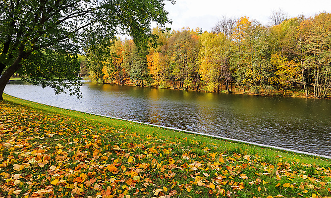 포토 JPG 해외이미지 나무 식물 계절 공원 호수 컬러 백그라운드 단풍 잎 오렌지 자연 하늘 휴가 그림자 사람없음 야외 빨간색 초록색 물 빛 강 컬러풀 햇빛 태양 뷰티 반사 노란색 환경 정원 맑음 변화 황금 숲 추수감사절 10월 내추럴 해외202309 해외포토 자연요소 공공시설 기독교 컨셉 과일 날씨 날짜 생태계 파일형식