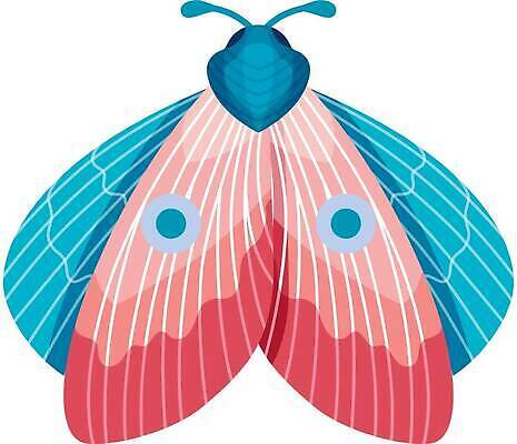 EPS 해외이미지 동물 디자인 야생동물 나비 곤충 백그라운드 패턴 날개 일러스트 자연 미술 그래픽 장식 여름 컬러풀 뷰티 흰색 점 우아함 벌레 만화 사인 그림 질감 생물학 심플 나방 내추럴 고립 벡터 해외202309 해외일러스트 계절 교육 컬러 컨셉 무늬 문화예술 생태계 파일형식