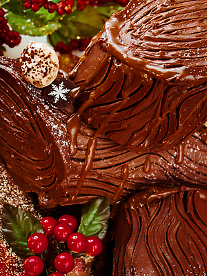 포토 JPG 해외이미지 열매 크리스마스 근접촬영 사람없음 갈색 달콤 초코케이크 롤케이크 부쉬드노엘 해외202309 해외포토 식물 기념일 뷰포인트 컬러 케이크 맛 파일형식