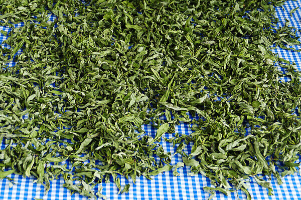 포토 JPG 해외이미지 식물 문화 백그라운드 잎 재료 자연 건조 사람없음 목재 초록색 식사 흰색 민트 허브 향신료 유기농 향 카레 내추럴 해외202309 해외포토 나무 웰빙 음식 컬러 생태계 향미료 파일형식