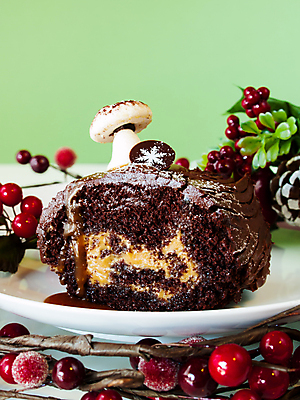 포토 JPG 해외이미지 접시 열매 크리스마스 근접촬영 사람없음 나뭇가지 달콤 초코케이크 롤케이크 부쉬드노엘 해외202309 해외포토 나무 식물 식기 기념일 뷰포인트 케이크 맛 파일형식