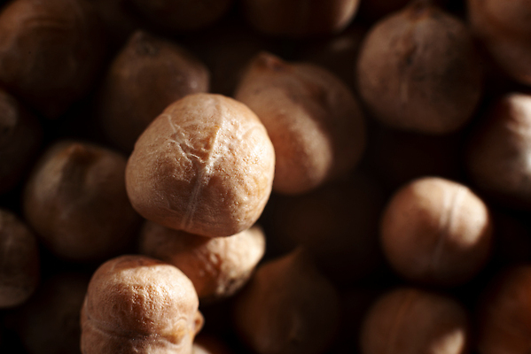 포토 JPG 해외이미지 식물 1 전통 음식 백그라운드 농업 재료 자연 콩 건조 건강 요리 씨앗 동양인 사람없음 쌓기 견과류 흰색 신선 그룹 닫기 중앙 큼 낟알 지중해 유기농 완두콩 날것 흙더미 내추럴 항공촬영 병아리콩 생식 채식주의자 해외202309 해외포토 웰빙 산업 바다 뷰포인트 컬러 모션 곡류 인종 흙 크기 생태계 채식 파일형식 더미