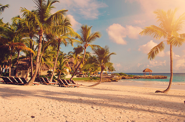 포토 JPG 해외이미지 나무 계절 모래 파도 바다 섬 여행 의자 자연 하늘 휴가 휴식 파노라마 손바닥 사람없음 야외 물 파란색 햇빛 뷰티 여행객 수영 침묵 뜨거움 서핑 휴양지 장면 코코넛 멀리 세이셸 도미니카공화국 모리셔스 바하마 터키석 수평선 해외202309 해외포토 자연요소 식물 손 컬러 가구 컨셉 과일 아프리카 촬영기법 사람 태양 소리 장소 수상스포츠 남아메리카 보석 생태계 파일형식