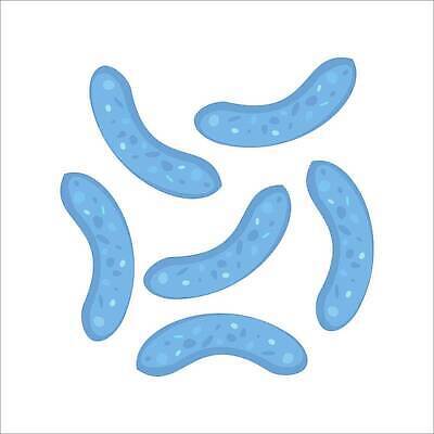 EPS 해외이미지 식물 문화 음식 백그라운드 일러스트 건강 치료 약 생물학 긍정 발효 미생물 요거트 박테리아 곰팡이 식민지 영양소 요구르트 이스트 벡터 해외202309 해외일러스트 교육 컨셉 의학 유제품 생물 파일형식