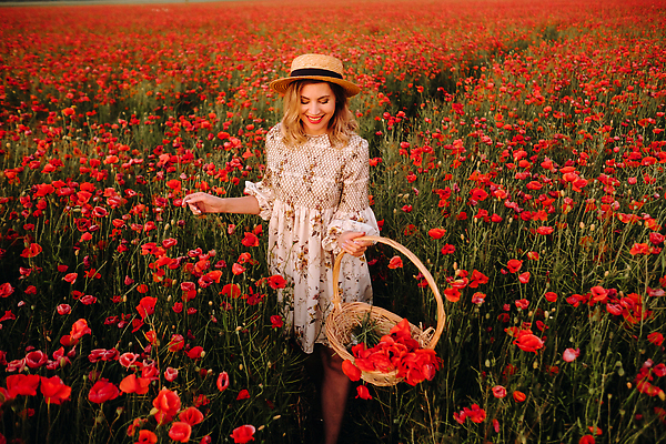 포토 JPG 해외이미지 여자 백그라운드 꽃밭 한명 들기 상반신 성인 옆모습 빨간색 바구니 화려 양귀비 성인여자한명만 해외202309 해외포토 1 꽃 뷰포인트 컬러 컨셉 모션 사람 여자한명만 성인여자만 파일형식