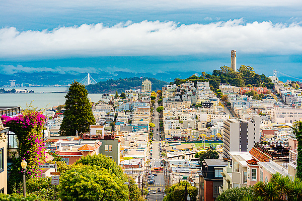 포토 JPG 해외이미지 구름 여행 건축양식 하늘 거리 주택 파노라마 풍경 사람없음 건물 파란색 도시풍경 탑 미국 도시 만 언덕 캘리포니아 지역 타운 스카이라인 천연기념물 랜드마크 샌프란시스코 해외202309 해외포토 자연요소 건축물 건축 컬러 북아메리카 촬영기법 파일형식