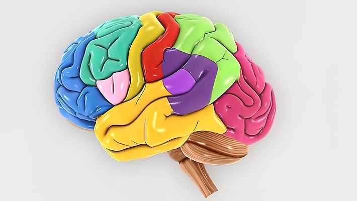 포토 JPG 해외이미지 교육 음악 과학 백그라운드 십자가 일러스트 부분 해부 엑스레이 건강 사람 사람없음 파란색 약 머리 3D 소리 듣기 의사 투명 오르간 불안 뇌 생물학 신호 귀 오디오 시스템 리듬 뮤지컬 방법 해골모형 해외202309 해외일러스트 감정 컬러 의학 모션 문화예술 신체부위 전자제품 모형 의료진 건반악기 디지털합성 파일형식