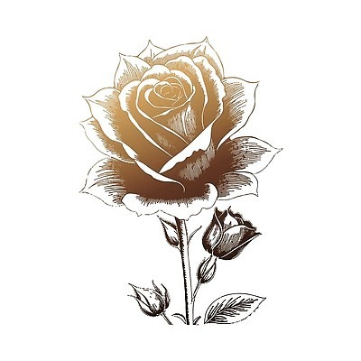 EPS 해외이미지 식물 1 디자인 꽃잎 꽃 컬러 결혼 꽃무늬 패턴 밭 일러스트 비즈니스 자연 휴가 발렌타인데이 빛 뷰티 장미 파티 유행 정원 검은색 봄 낭만 벚꽃 신선 오픈 신용카드 황금 심볼 묘사 흰배경 향기 부드러움 내추럴 고립 깊이 파스텔톤 스타일 벡터 해외202309 해외일러스트 계절 백그라운드 컨셉 무늬 농업 데이이벤트 이벤트 금융 흰색 감각 생태계 냄새 파일형식