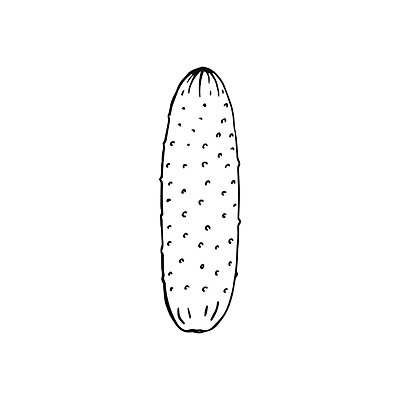 EPS 해외이미지 클립아트 모양 식물 디자인 잡화 계절 선 음식 컨셉 농업 채소 일러스트 표시 오이 잉크 흑백 건강 요리 미술 그래픽 연필 펜 라벨 검은색 수확 흰색 낙서 스케치 먹기 심볼 사인 그림 유기농 원예 윤곽 손그림 고립 그런지 숙성 엘리먼트 오이피클 채식주의자 스타일 벡터 해외202309 해외일러스트 웰빙 산업 컬러 모션 문화예술 학용품 프레임 촬영기법 취미 필기구 채식 피클 파일형식