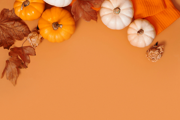 포토 JPG 해외이미지 식물 음식 백그라운드 채소 오렌지 호박 추상 휴가 건강 사람없음 야외 장식 컬러풀 노란색 할로윈 수확 흰색 신선 잡기 작음 9월 11월 스웨터 날것 추수감사절 10월 숙성 테마 플랫레이 카피스페이스 비건 해외202309 해외포토 기독교 컬러 상의 무늬 농업 과일 모션 공백 날짜 플랫 크기 채식주의자 파일형식