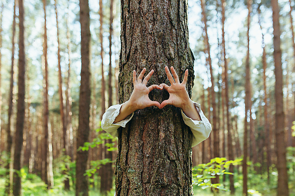 포토 JPG 해외이미지 모양 나무 식물 손 공원 여자 감정 컨셉 포옹 자연 휴식 발렌타인데이 사랑 한명 사람 성인 야외 목재 초록색 여름 환경 낭만 성장 보호 숲 심볼 에코 생태계 열정 나무껍질 팔 내추럴 돌봄 생태학 해외202309 해외포토 1 계절 공공시설 교육 컬러 재료 안기 모션 데이이벤트 신체부위 껍질 파일형식