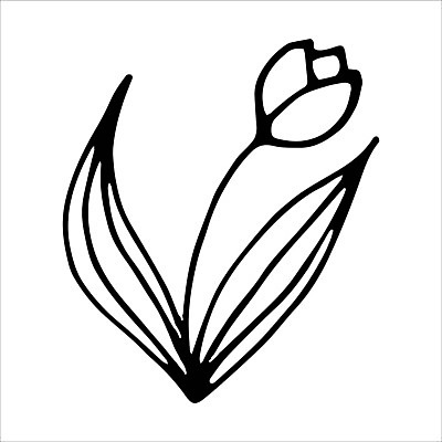 EPS 해외이미지 식물 디자인 꽃잎 꽃 선 줄기 결혼 잎 꽃무늬 일러스트 자연 잉크 발렌타인데이 미술 그래픽 장식 연필 펜 정원 검은색 봄 낭만 튤립 벚꽃 축하 생일 우아함 낙서 스케치 문신 흰배경 그림 원예 윤곽 손그림 고립 벡터 해외202309 해외일러스트 계절 기념일 컬러 백그라운드 컨셉 무늬 데이이벤트 문화예술 학용품 이벤트 취미 필기구 흰색 생태계 파일형식