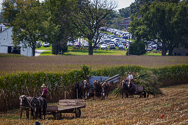 포토 JPG 해외이미지 식물 모자 전통 종교 밭 농업 자연 하늘 풍경 사람없음 야외 여름 농장 농경지 갈색 흙 수확 시골 업무 당기기 볏짚 농부 땅 밀짚모자 구식 밭일 윤리 쟁기 해외202309 해외포토 직업 모자_잡화 잡화 계절 산업 컬러 모션 작업 짚 생태계 파일형식