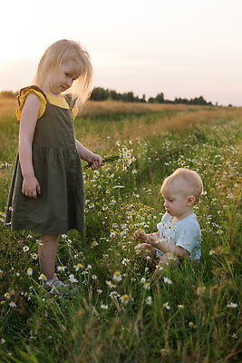 포토 JPG 해외이미지 식물 라이프스타일 꽃 행복 야생동물 어린이 꽃다발 컨셉 밭 자연 건강 소년 두명 뒷모습 초록색 금발 햇빛 뷰티 노란색 걷기 환경 봄 산책 기쁨 육아 자유 아기 수집 데이지 내추럴 알레르기 걸음마 캐모마일 해외202309 해외포토 동물 헤어스타일 계절 남자 감정 뷰포인트 컬러 농업 모션 휴식 사람 생활 태양 질병 허브 생태계 파일형식