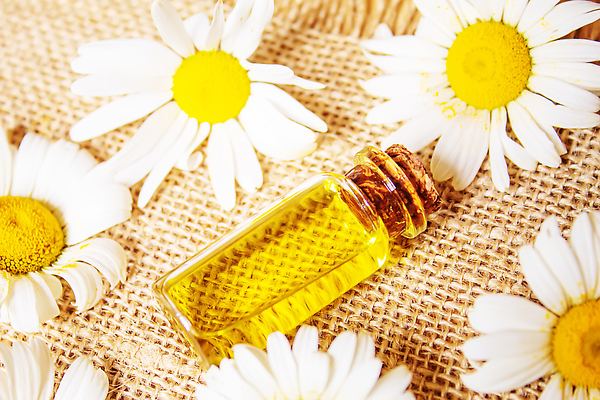 포토 JPG 해외이미지 근접촬영 사람없음 아웃포커스 노란색 오일 아로마테라피 내추럴 에센스 캐모마일 해외202309 해외포토 꽃 음식 뷰포인트 컬러 촬영기법 화장품 허브 테라피 파일형식